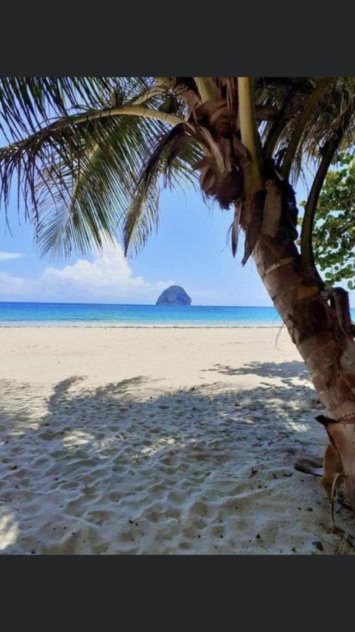 Coco Paradise Le Diamant Ngoại thất bức ảnh